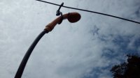 IMG_20170805_121414.jpg