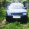 maz777